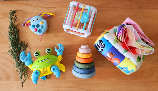 Box Exploradores premium - 6 meses o más